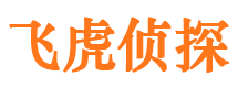 清新侦探